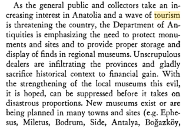 Week 7: Tourism in Istanbul and its vices