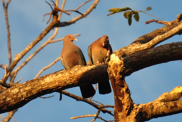 Segunda presentación grupal