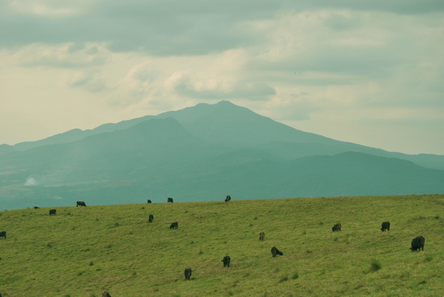 Gira de campo al Parque Nacional Volcán Rincón de la Vieja.