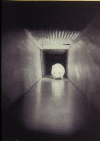 El experimento kerplunk