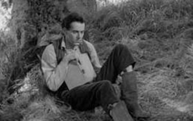 Stays out of politics