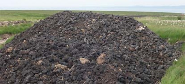 Från långsamt förnyelsebar energikälla, till fossilt bränsle