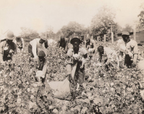 Eli Whitney receives patent for the Cotton Gin