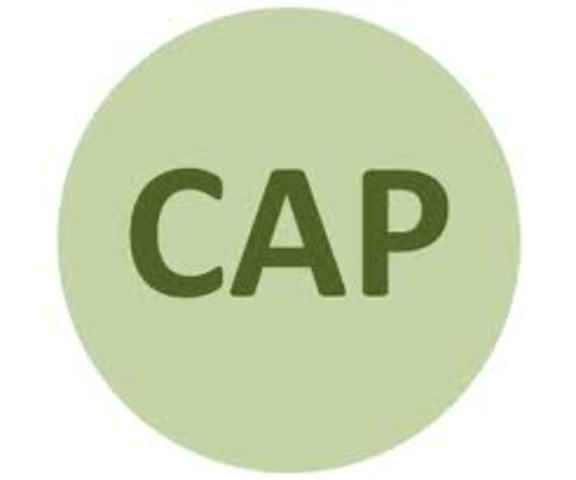 Common Agricultural Policy