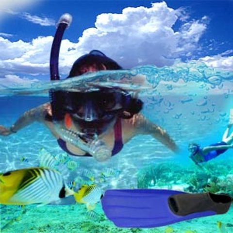Go Snorkeling !