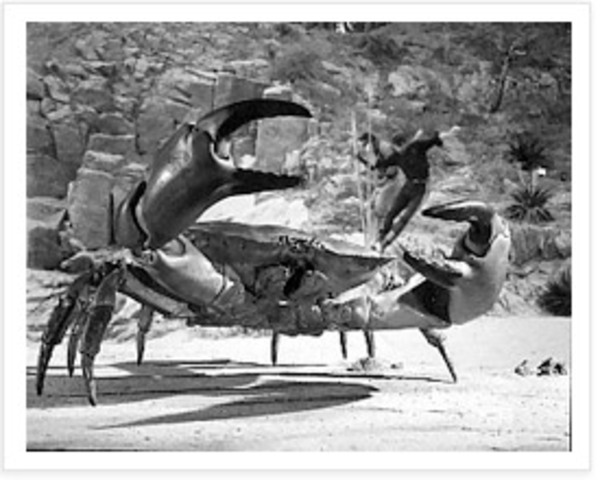 Mysterious Island (1961)