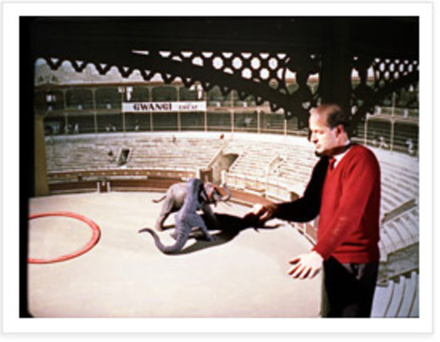 The Valley of Gwangi (1969)