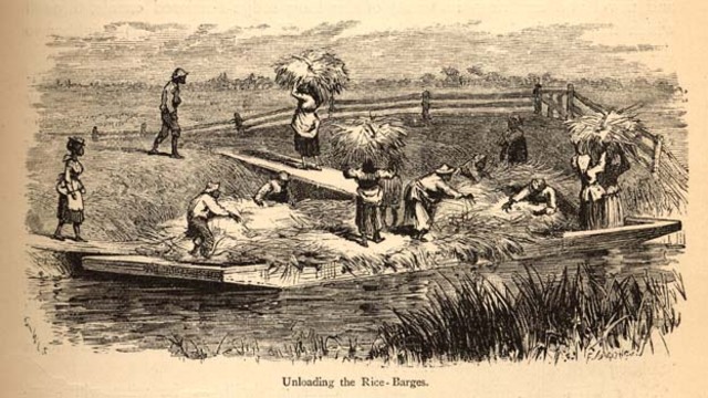 Carolina Slavery Increases