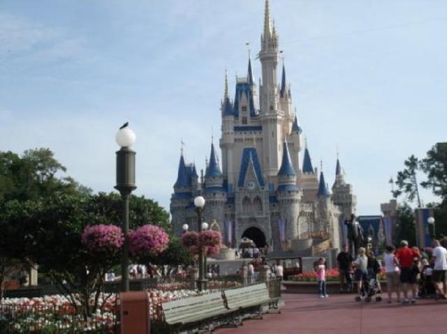 First Major Vacation