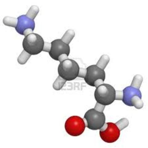 Odkrycie podstawowych cząsteczek