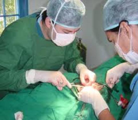 Metodos hormonales y quimico