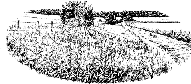 Enclosure Acts (cercamiento de las tierras