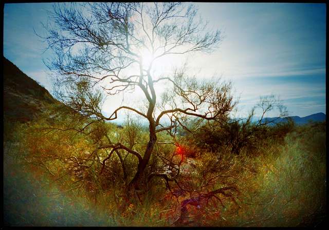 Muhammad's Wet Nurse's House Is Blessed