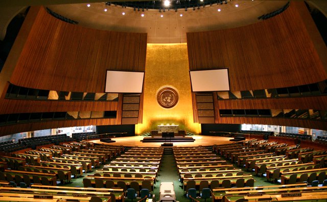 UN General Assembly
