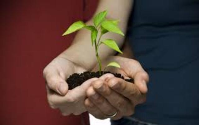 Marriage to Khadijah bint Khuwalid