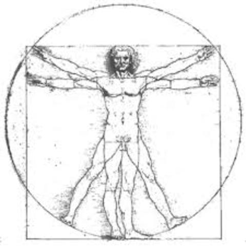 Leonardo Da Vinci Draws the Vitruvian Man