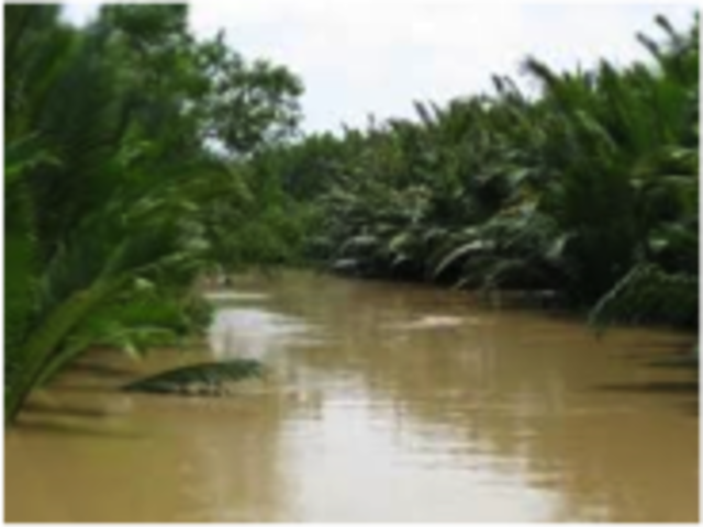 Vietnamese conquer the Mekong Delta