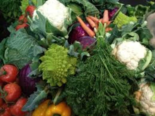 Politica Agrícola Común  //  Common Agricultural Policy