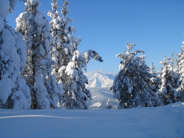 Elurteak Aretxabaletan