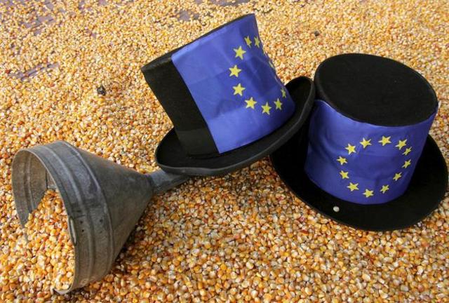 Política Agrícola Común(español)