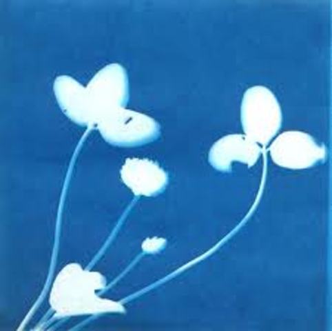 Negative Photographs and Photosensitive Paper