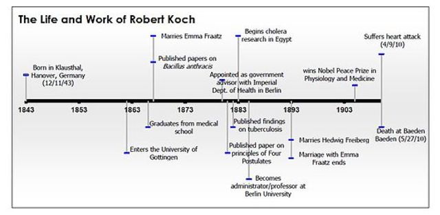 Koch published his work on anthrax,