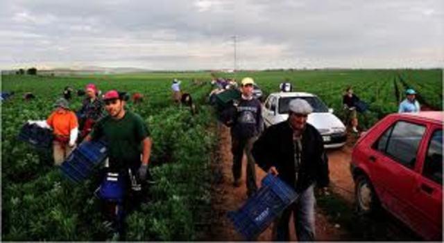 United Farm Workers