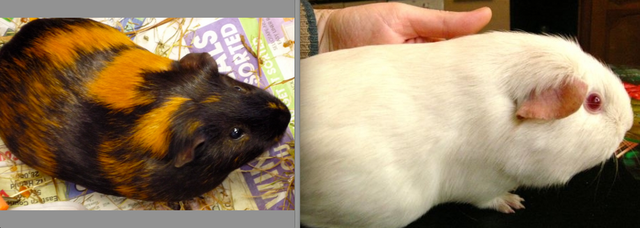 Biggest mistake in my LIFE!