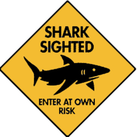 Man killed in shark attack while fishing in Hawaii