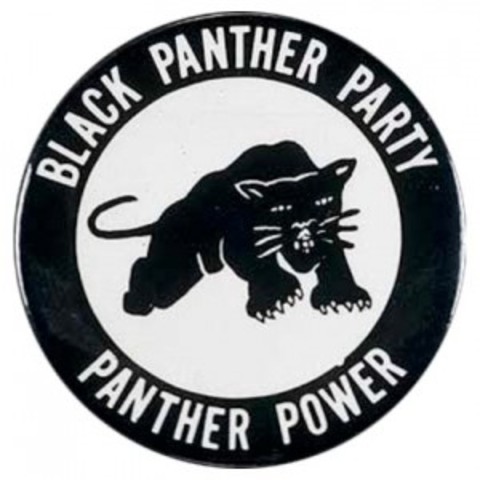 Black Panther Party Formation