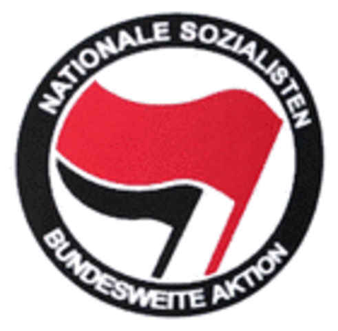 Sozialrevolutionären Programm