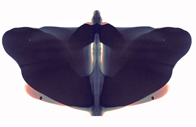 RH Quaytman "The Song Cave"