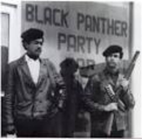 The Black Panthers
