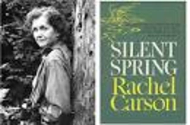 Enviromental Movement