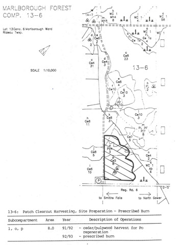 A condition of the grant