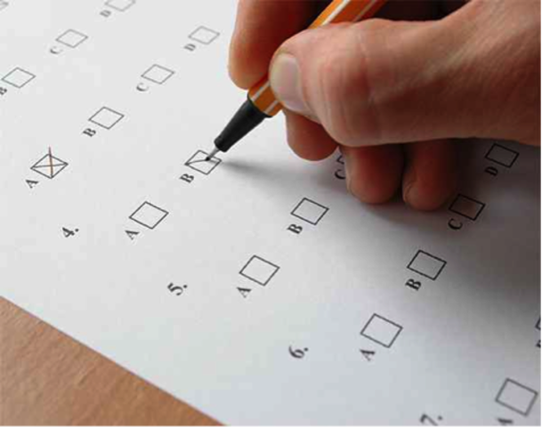 Send out Questionnaire