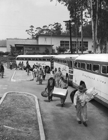 Deportation of illegal laborers