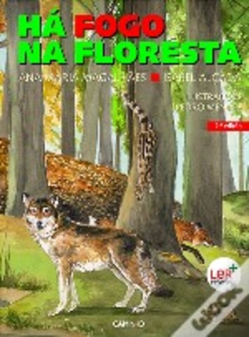 Há fogo na floresta