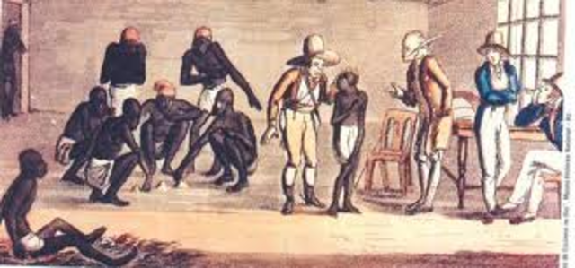 A Companhia Geral de Comércio do Grão-Pará e Maranhão