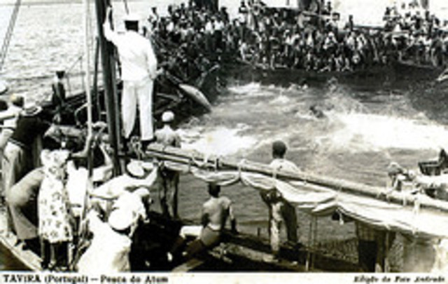 Companhia Geral das Reais Pescarias do Reino do Algarve