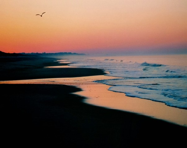 going to montauk beach