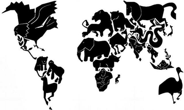 1956 - Una Década de Concepcion