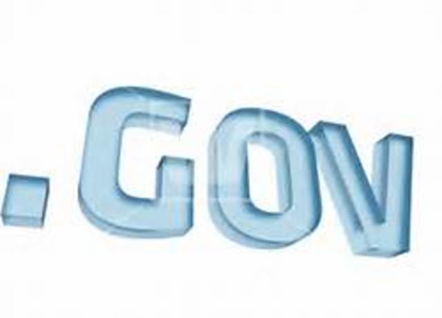 Government Joins Online