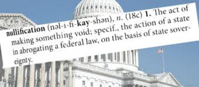 Nullification Theory