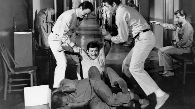 Moon Orchid Goes Crazy