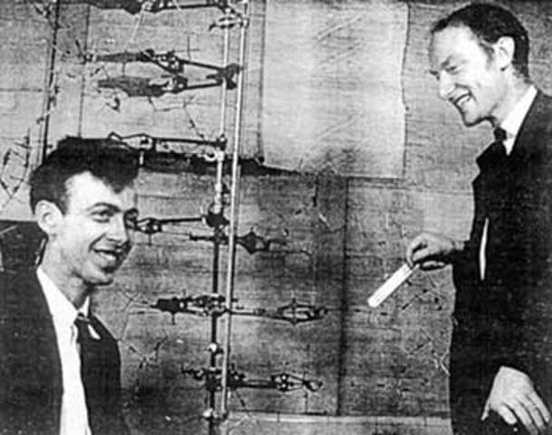 James Watson and Francis Crick