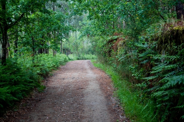 Bidaiaren lekukotasunak eta hiztegi txikiak