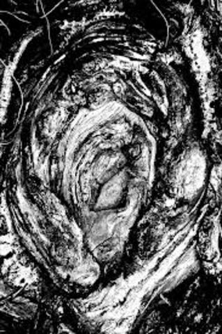 Findings in the Knotwhole