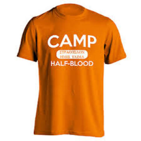 I arive at Camp Half-Blood.