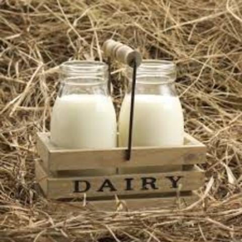 Late 1800’s-Early 1900’s advancements